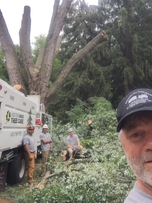 about western mass tree care