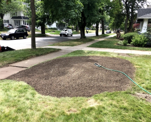 stump grinding and removal