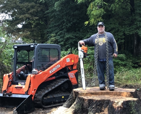 stump grinding and stump removal