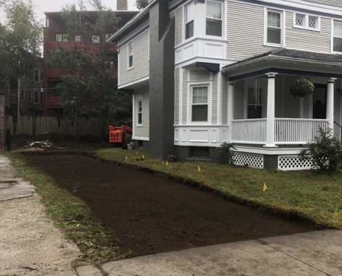 stump grinding and stump removal