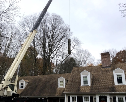 tree removal service western mass tree care